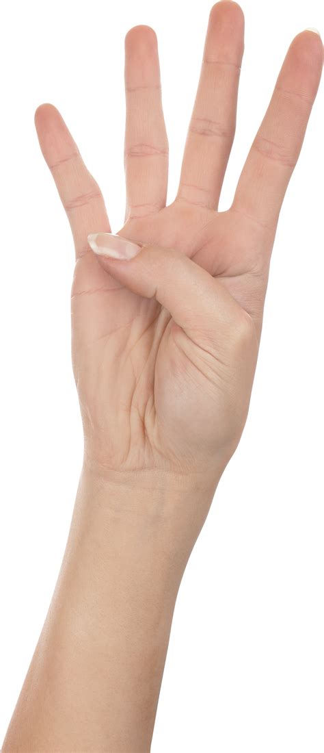 Collection Of Fingers Png Pluspng
