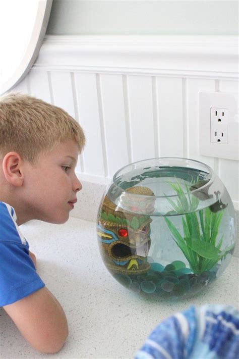 5 Reasons A Fish Is An Awesome First Pet For Your Child I Can Teach