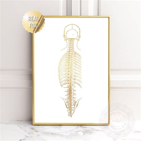 Chiropractic Art Chiropractic Poster Chiropractic Wall Art Etsy Australia