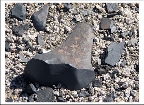 figure  polished facet  ventifact lake vida dry valleys