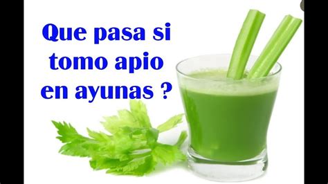 Beneficios Del Jugo De Apio En Ayunas Salud En Vaso Beneficios De