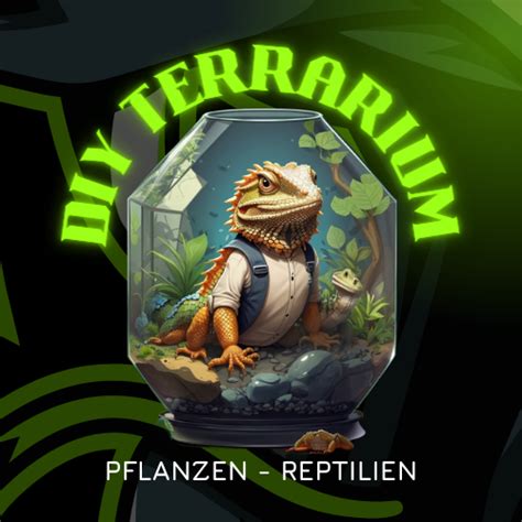 Terrarium Pflanzen für Anfänger eine Auswahl und Pflegeanleitung