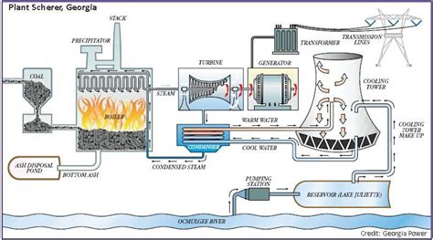 Biomass Power Plant Diagram 