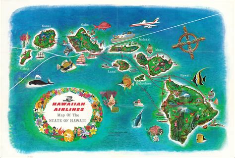 Shocking Anonib Hawaii Facts That Will Blow Your Mind! Image 17