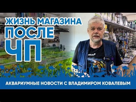 "Дубок" - живые бактерии для запуска аквариума, производство Россия ...