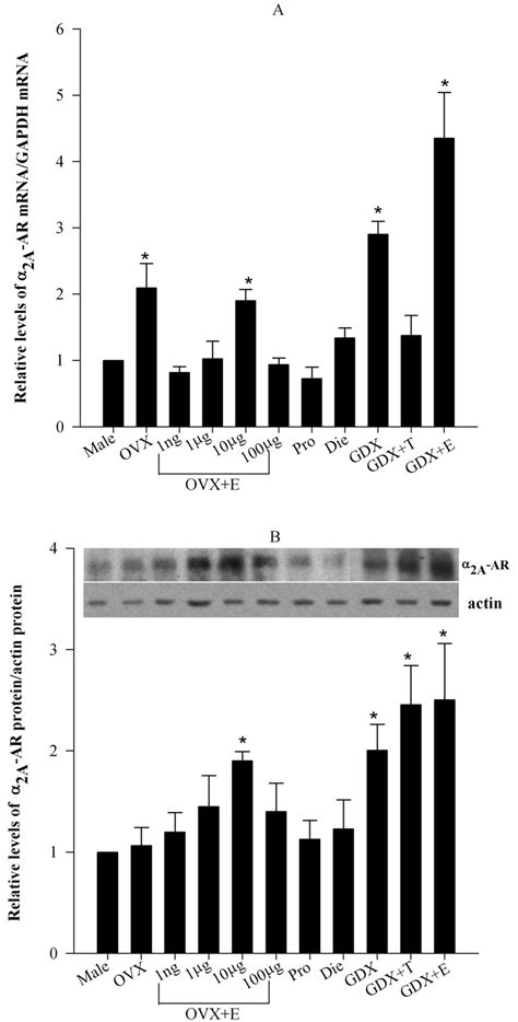 Sex Specific Modulation Of Spinal Nociception By Adrenoceptors Differential Regulation By