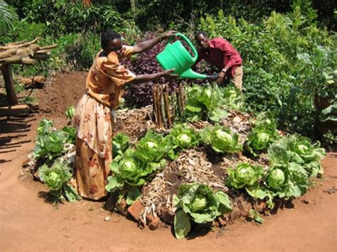 Africangardensugandakeyholegardenmd A Senhora Do Monte