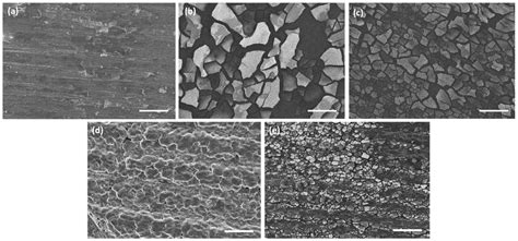 Materials Free Full Text Characterization Of Tannic Acid Coated