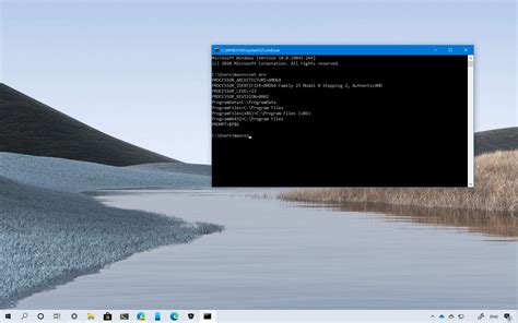 Windows 10 32-bit end of life starts with version 2004 - Pureinfotech