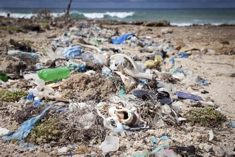 Czy Powinni My Sprz Ta Mieci Z Ocean W Naukowcy Tak Nie Uratujemy