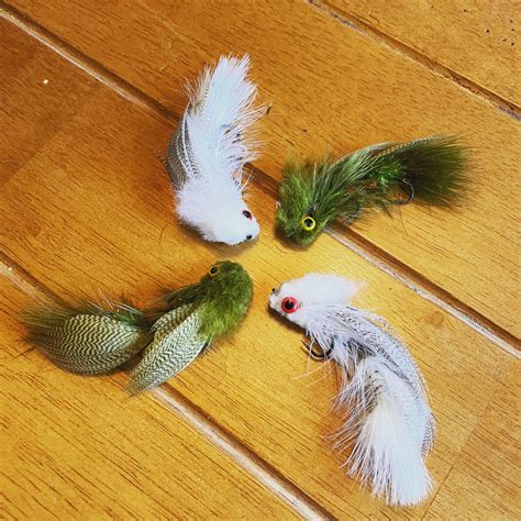 Truckee River Fishing Regulations