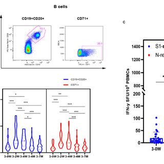 Specific effector T cells, Follicular helper T cells and B cells ...