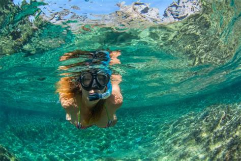 Snorkelling And Diving Plans In Tenerife Villa Adeje Beach Hotel