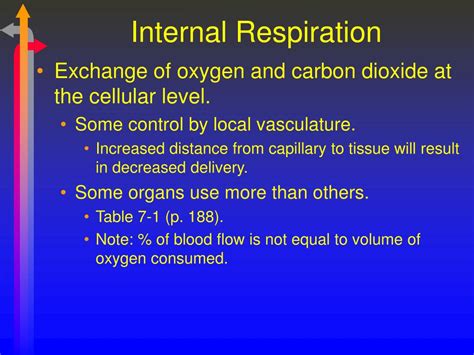 PPT - Internal Respiration PowerPoint Presentation, free download - ID:516001