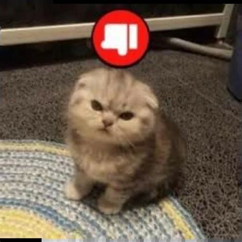 Cтикеры телеграм юбочка чулочки я чвк фембойчик)))