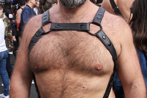 Handsome Hairy Bearman Folsom Street Fair Safe Flickr