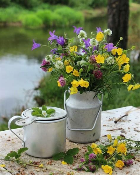 Цветы в лейке для полива