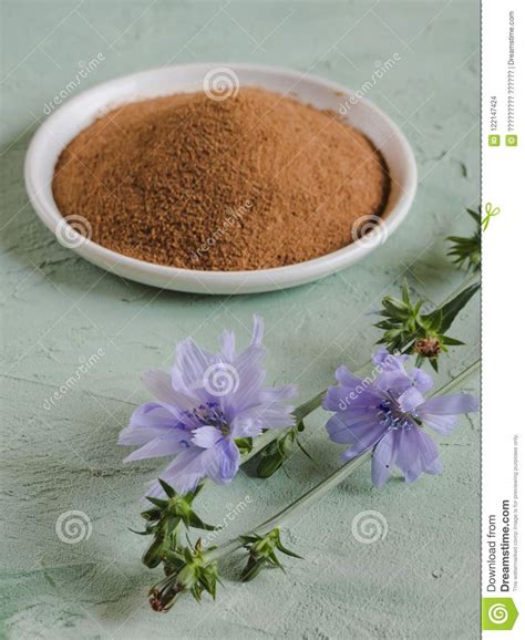 Diabetic Coffee with Chicory. Alternative Replacement for Black Coffee. Stock Photo - Image of ...