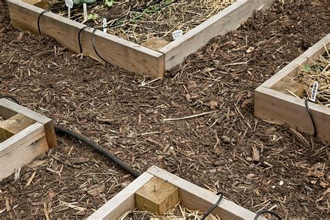 How Mulch Glue Can Keep Your Garden Beds Thriving Better Homes And