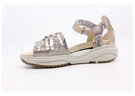 Xsensible KEA NUDE Schoenen Reyskens Schoenen Reyskens