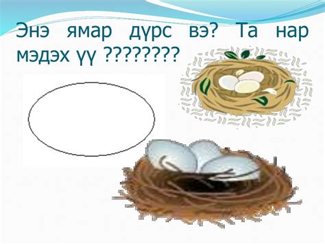 хичээл тахиа
