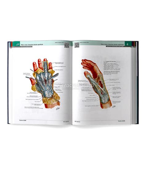 Atlante Di Anatomia Umana 8