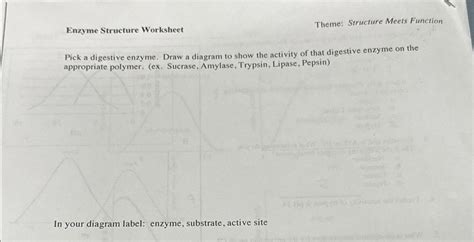 Solved Enzyme Structure WorksheetTheme: Structure Meets | Chegg.com