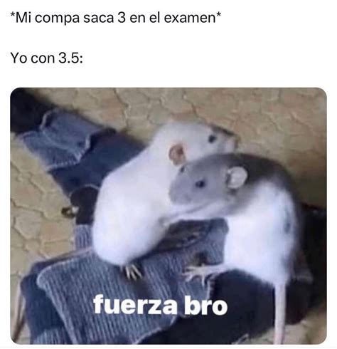 Cuando Te Mueres No Te Llevas Nada La Tuneada Memes