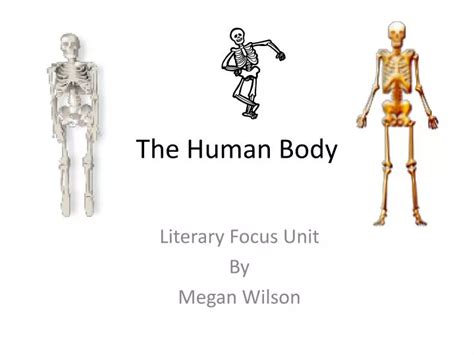 Ppt The Human Body Powerpoint Presentation Free Download Id 1802832