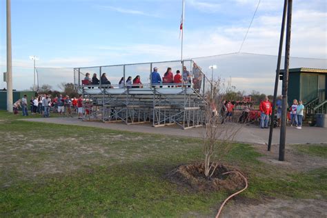 Brooklyn Tree | Groesbeck Journal