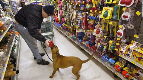 PetSmart Buyout BC Partners Purchases Chain In 8 7 Billion Deal