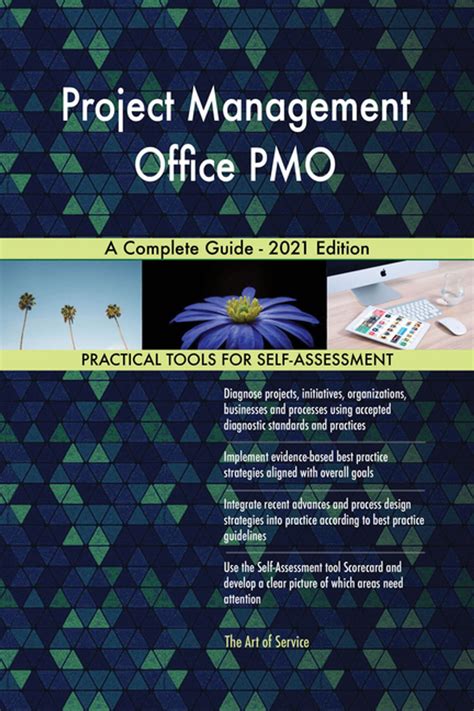 No Nonsense Project Auditing A Practical Guide For The Pmo Pmo Synergy Book 7