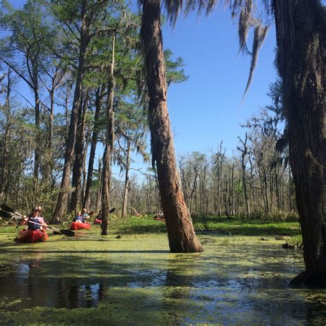 A New Orleans Kayak Swamp Tour