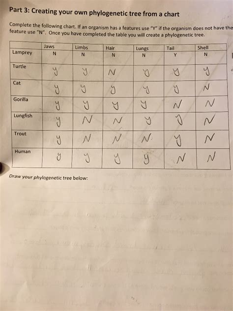 Solved Part 3: Creating your own phylogenetic tree from a | Chegg.com