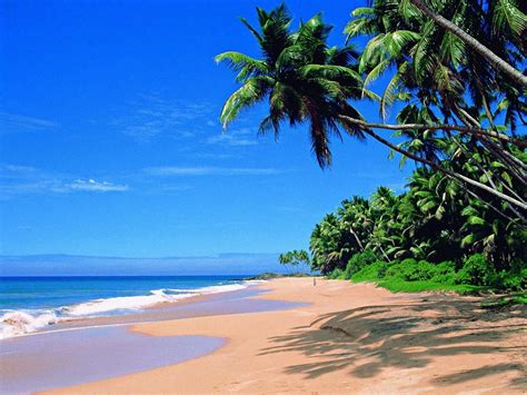 Goa Wallpapers - Wallpaper Cave