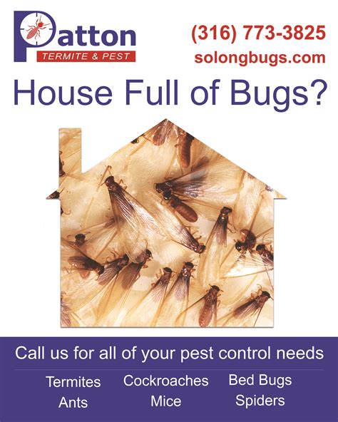 Licensed Pest Control Professional | Pest Control