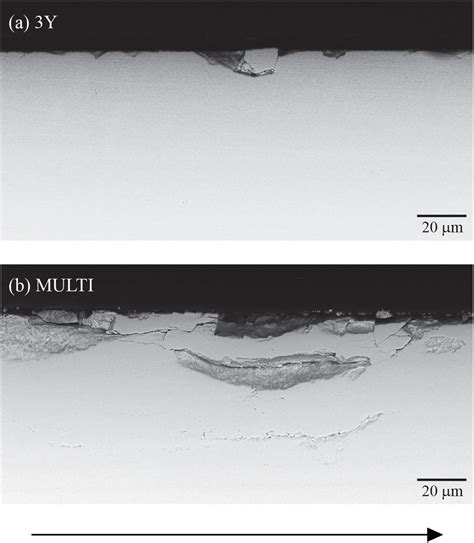 Wear Behavior And Microstructural Characterization Of Translucent
