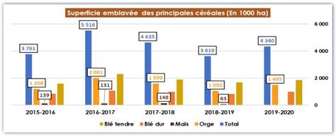 Les chiffres clés de la filière céréales et légumineuses Fellah Trade