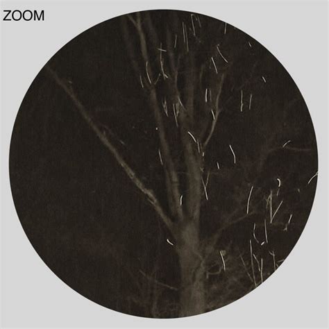 Printable Naked Witches Dancing Around The Fire In The Night Forest Photo