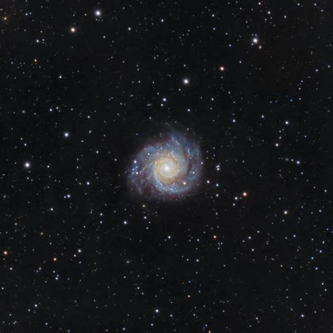 messier  larry  astrobin