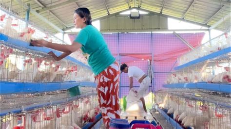 Paano Nga Ba Tamang Paglilinis Ng Poultry Upang Mapanatili Maayos Ang