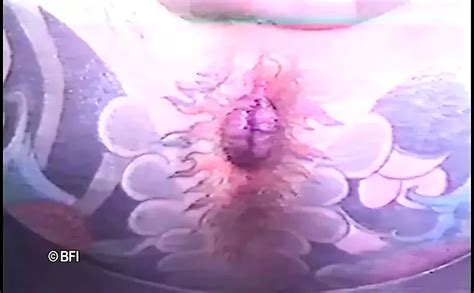 Piercing Gay Porn Videos XHamster