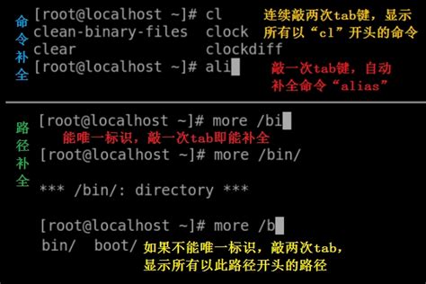 Linux快捷键 赋值2shell语言———bash的快捷键、变量声明、引用变量及变量替换 Csdn博客