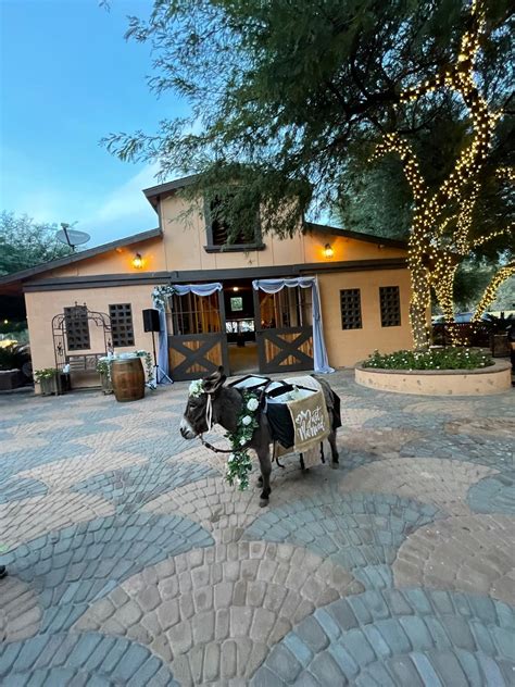 New eco-friendly parks will be built in rancho viejo 8