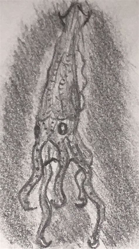 speculative evolution generator rspeculativeevolution