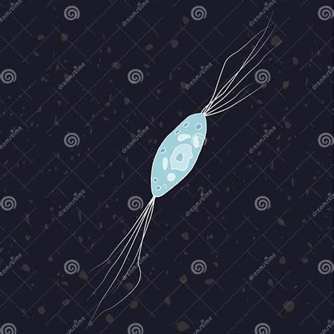 Ilustração Do Vetor Do Eukaryote único Celulado Labyrinthulea Protozoa Ilustração Do Vetor