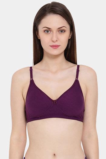 Buy Clovia Double Layered Non Wired Full Coverage T Shirt Bra Purple At Rs 359 Online Bra Online