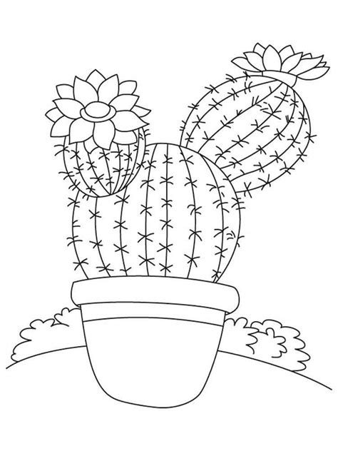 Desenhos De Plantas Para Colorir E Imprimir Online Cursos