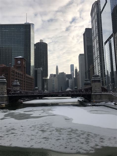 Chicago Weather Washed-out Florida farms show limits of crop insurance
