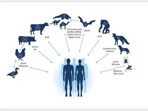 Intensive animal farming is the 'single most risky human behaviour' for ...